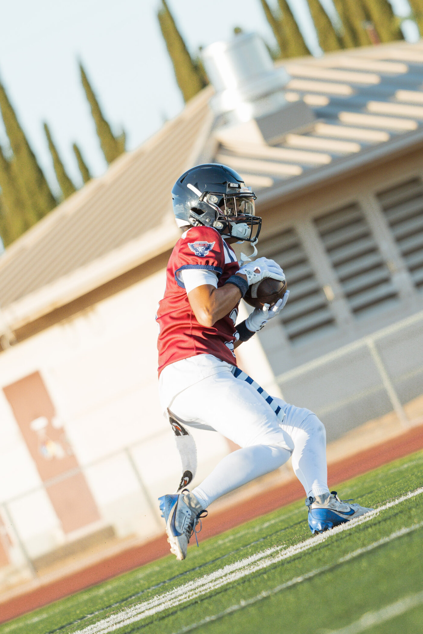 Receiver leaping for a catch near the field house